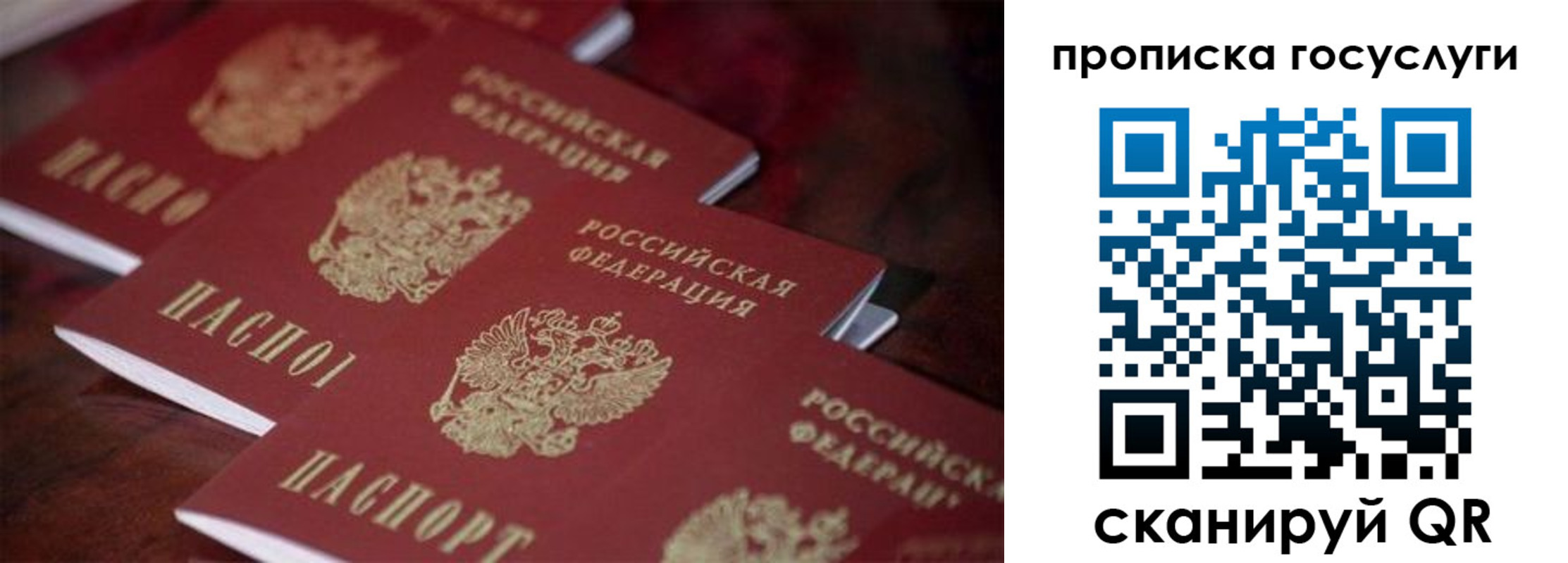 прописка в Рязани